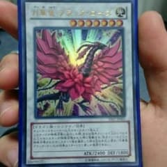 月華竜ブラック・ローズ（専用)のサムネイル