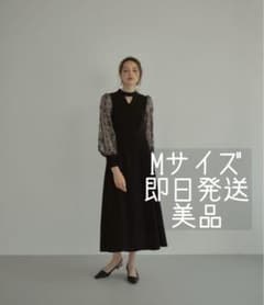 スリーブエンブロイダリードレス 結婚式 お呼ばれ ブランド 秋 冬のサムネイル