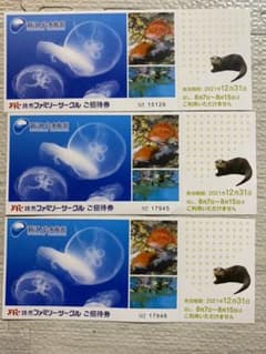 新江ノ島水族館　招待券　３枚のサムネイル