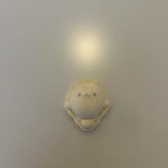 ポメラニアンもちのサムネイル