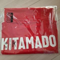 2025　女子バレー　日本代表　応援Tシャツ　ユニフォーム　北窓絢音　Mサイズ 2025 女子バレー 日本代表 応援Tシャツ ユニフォーム 北窓絢音 M