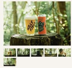 パイントグラス HILLSFIELD NAME 480ml 伊豆のぬし釣りのサムネイル