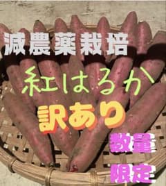 減農薬栽培 紅はるか 10キロ 訳あり 農家直送のサムネイル