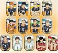 ハイキュー！ スクエア缶バッジ おすわり 新品未開封 ハイキュー！！スクエア缶バッジ おすわり版権 セブン