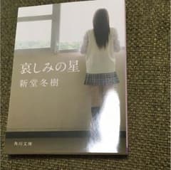 新堂冬樹 哀しみの星 小説 本のサムネイル