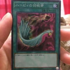 即日発送 ハーピィの羽根箒のサムネイル
