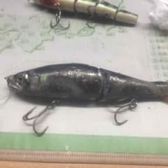 るる様専用のサムネイル