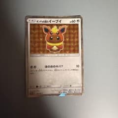 に*中様 ポンチョを着たイーブイ P ポケモンセンター 「ポンチョを着た