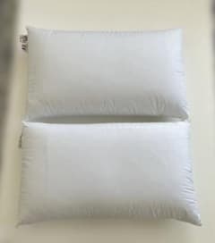 未使用品　カタログハウス 通販生活　イタリア製　ファベ社 fabeメディカル枕 通販生活®通販生活のメディカル枕(R)｜【公式】カタログハウスの通販サイト