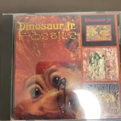 Dinosaur Jr. Fossils CD SST Recordsのサムネイル