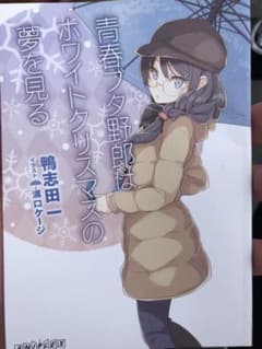 殿さん専用青春ブタ野郎はホワイトクリスマスの夢を見る　特典のサムネイル