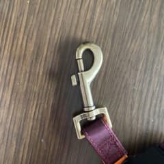 リードのサムネイル