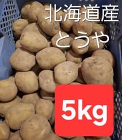 北海道産　新じゃが　とうや　じゃがいも　産地直送！のサムネイル