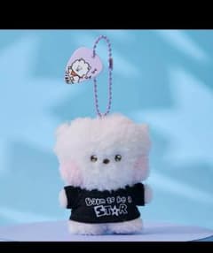BT21 mini minini 봉제 인형 열쇠 고리 (BAND) RJ