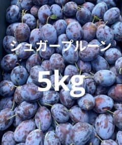 青森県産　シュガープルーン　約5kg　　全国送料無料のサムネイル