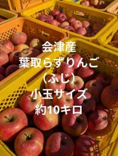 会津産　葉取らずりんご　小玉サイズ約10キロのサムネイル