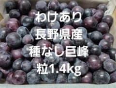 わけあり長野県産種なし巨峰粒1.4kgのサムネイル