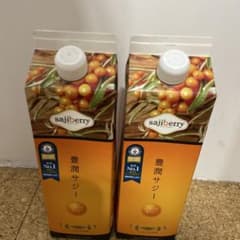 新品未開封 豊潤サジー 2本セット - メルカリ