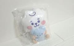 BT21(◍˙꒳˙◍) 마이 리틀 버디/시팅 플러쉬 RJ