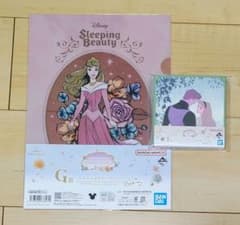 이치 반 쿠지 디즈니 프린세스 미니 캔버스 보드 외 오로라 공주 세트
