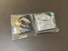 Mrs. GREEN APPLE 1番くじ　F賞　メタルチャームのサムネイル