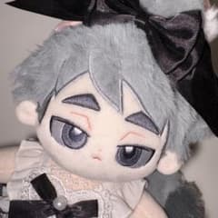 着せ替え ぬいぐるみ マスコット 宮治 20cm - メルカリ