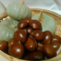 農家の畑の白かぼちゃと栗とじゃがいも☆無農薬のサムネイル