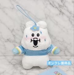 んぽちゃむ　洗濯失敗ピチTマスコット タグあり
