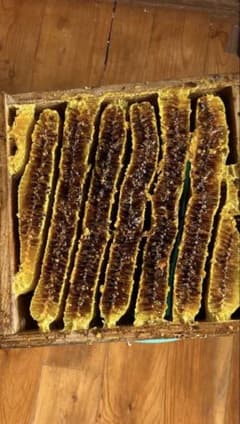 日本蜜蜂の巣蜜(里山の百花蜜無添加コムハニー)430gのサムネイル