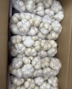 青森県産農薬不使用福地ホワイトMにんにく5キロ送料無料 - メルカリ