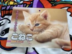 2026年 こねこ 壁掛けカレンダー A4サイズのサムネイル
