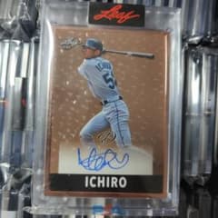 m37077690492_1.jpg?1736413437