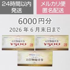 ヤマダ電機 株主優待券 6000円分（500円×12枚）2026年6月末日まで
