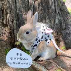 【はるか様専用】【中古】うさぎハーネス　Sサイズ　ダルメシアンのサムネイル
