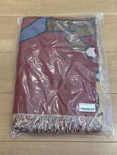 never young beach ネバヤン　rug ラグ　新品未使用 never young beach ネバヤン rug ラグ 新品未使用 - メルカリ