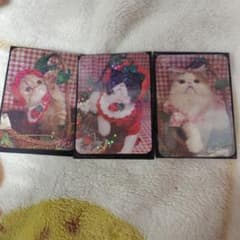 うっちー様専用ページのサムネイル