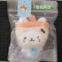 NCT WISH ユウシ バブルニャン ぬいぐるみ WISHDOLL - メルカリ