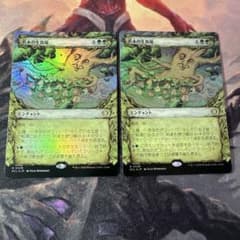 MTG【ショーケース】若木の生育場【Foil】日日 - メルカリ