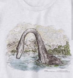 NICENESS 25AW G.BERNARD / NESSIE (H.G)のサムネイル