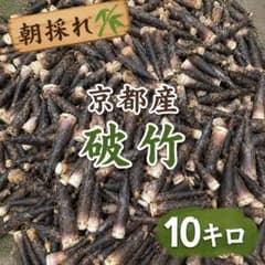 朝採れ 即日発送 無農薬 京都産 たけのこ 破竹 10キロのサムネイル