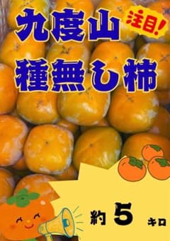 和歌山県 九度山産 たねなし柿 5kgのサムネイル