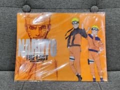 나루토 THE LAST -NARUTO THE MOVIE- 클리어 파일