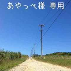 あやっぺ様 専用のサムネイル
