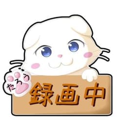 tobicco様専用 大判ステッカー スコティッシュフォールドのサムネイル