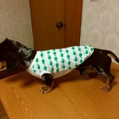 犬服ハンドメイドのサムネイル