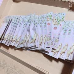 王妃のめぐみ 4ヶ月分のサムネイル