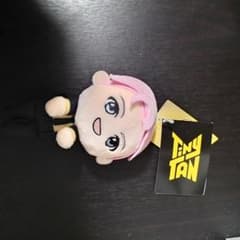 희귀 제품! BTS TinyTan 모어 플러스 봉제 장난감 ~ Butter