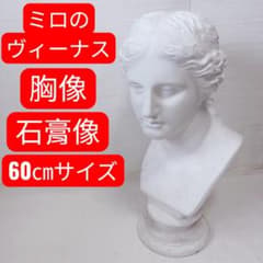 ミロのヴィーナス 胸像 石膏像 約60cm デッサン 美術教材 - メルカリ