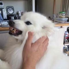 サヤ2607さま専用のサムネイル