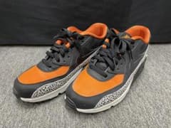 NIKE AIR MAX 90 SAFARI GSのサムネイル